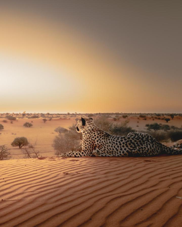 Bagatelle Kalahari Game Ranch Hardap Exterior foto