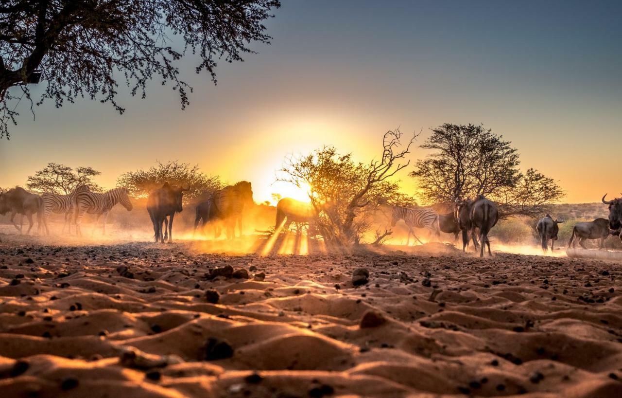 Bagatelle Kalahari Game Ranch Hardap Exterior foto