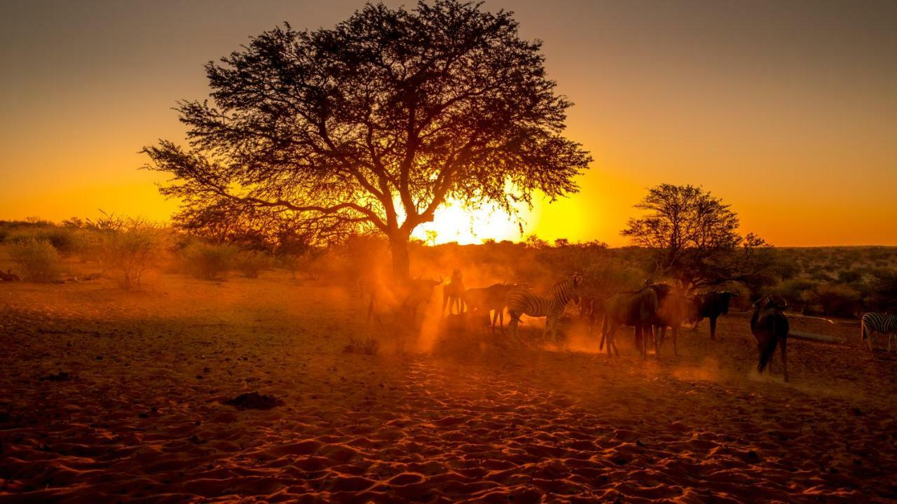 Bagatelle Kalahari Game Ranch Hardap Exterior foto