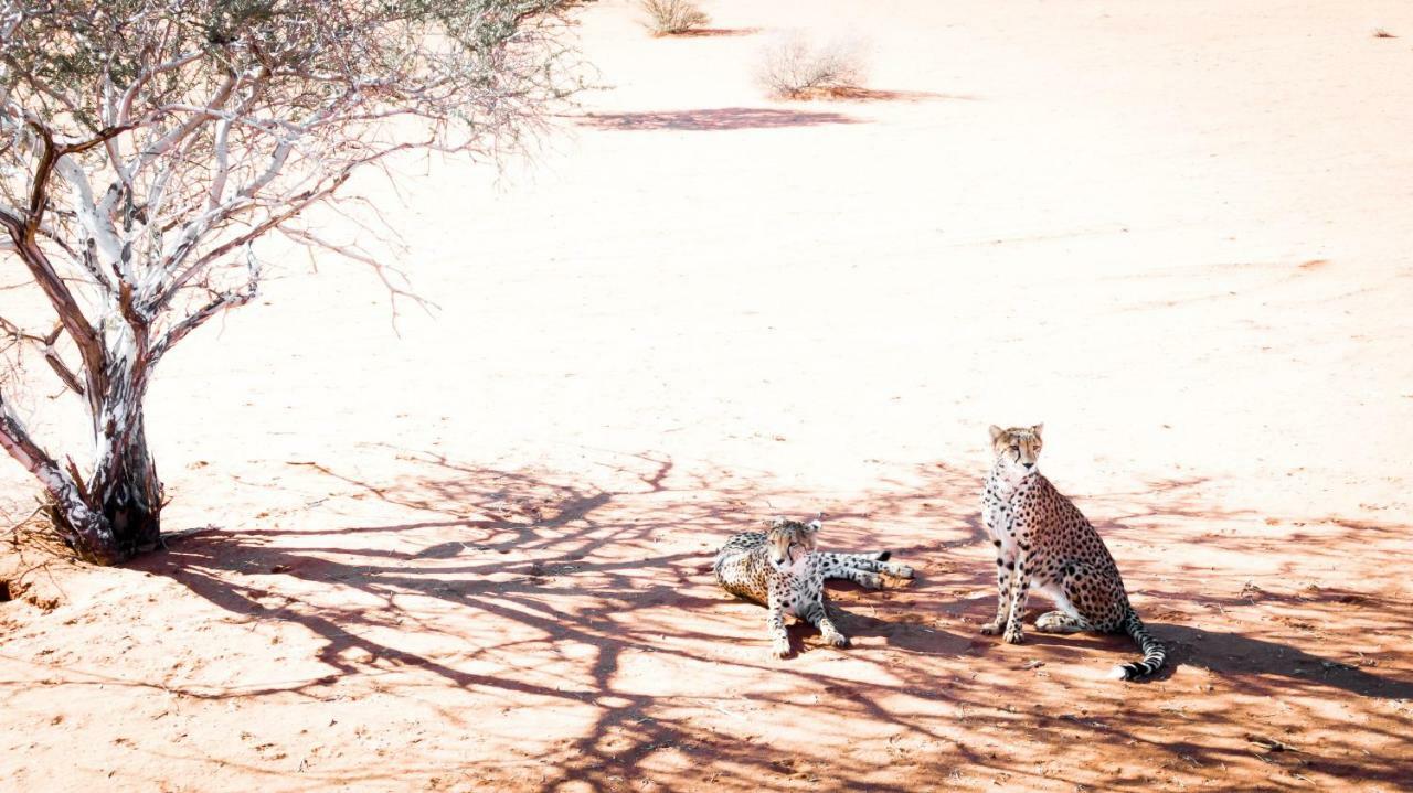 Bagatelle Kalahari Game Ranch Hardap Exterior foto