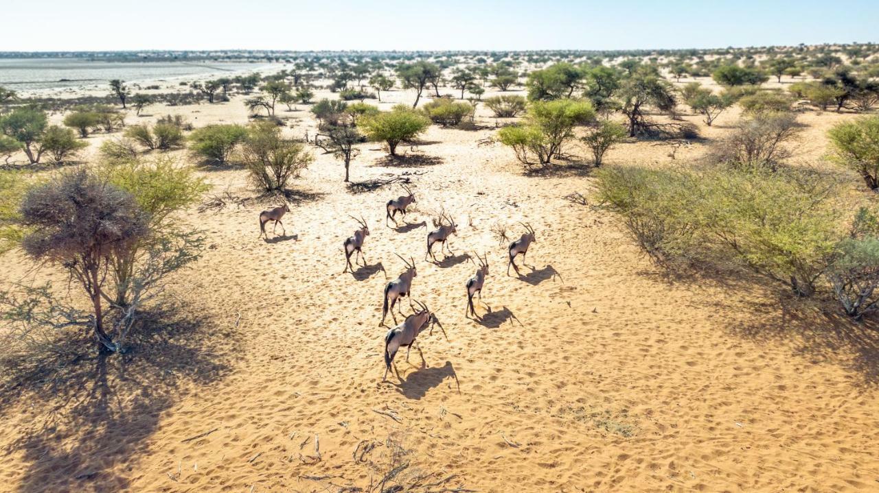 Bagatelle Kalahari Game Ranch Hardap Exterior foto